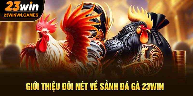 23win 12 Trải nghiệm đá gà gay cấn tại 23Win