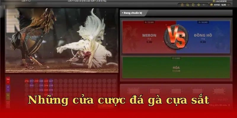 Đá Gà Cựa Sắt - Siêu Phẩm Chọi Kê Nhà Cái 23win Năm 2025 3 Những cửa cược đá gà cựa sắt
