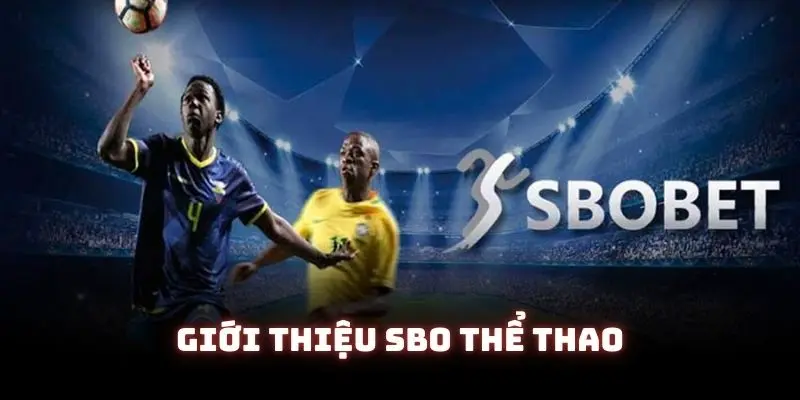SBO thể thao - Sảnh cá cược đẳng cấp nhất nhà cái 23win 1 Tìm hiểu đôi nét về sân chơi trực tuyến SBO thể thao